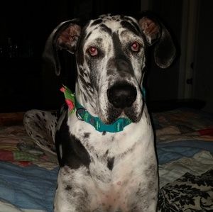 Meet your Posher, Beth